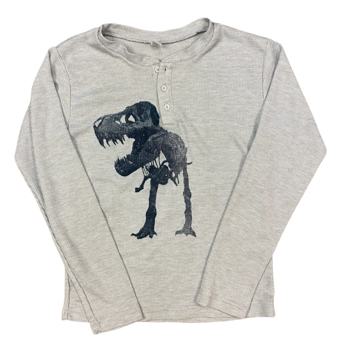 dino thermal